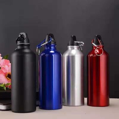 Bouteilles d'eau de 750 ml avec carabineur Bouteille d'eau en aluminium portable Bouteille d'eau imperméable Pour la randonnée Voyage Sport en plein air Gymnase