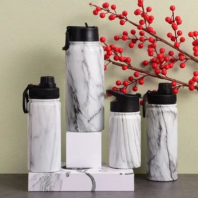 Bouteille d'eau isolée avec couvercle de tuyau réutilisable Bouteilles d'eau en acier inoxydable avec poignée étanche Bouteille d'eau de sport pour gym Voyage vélo Camping 22 oz